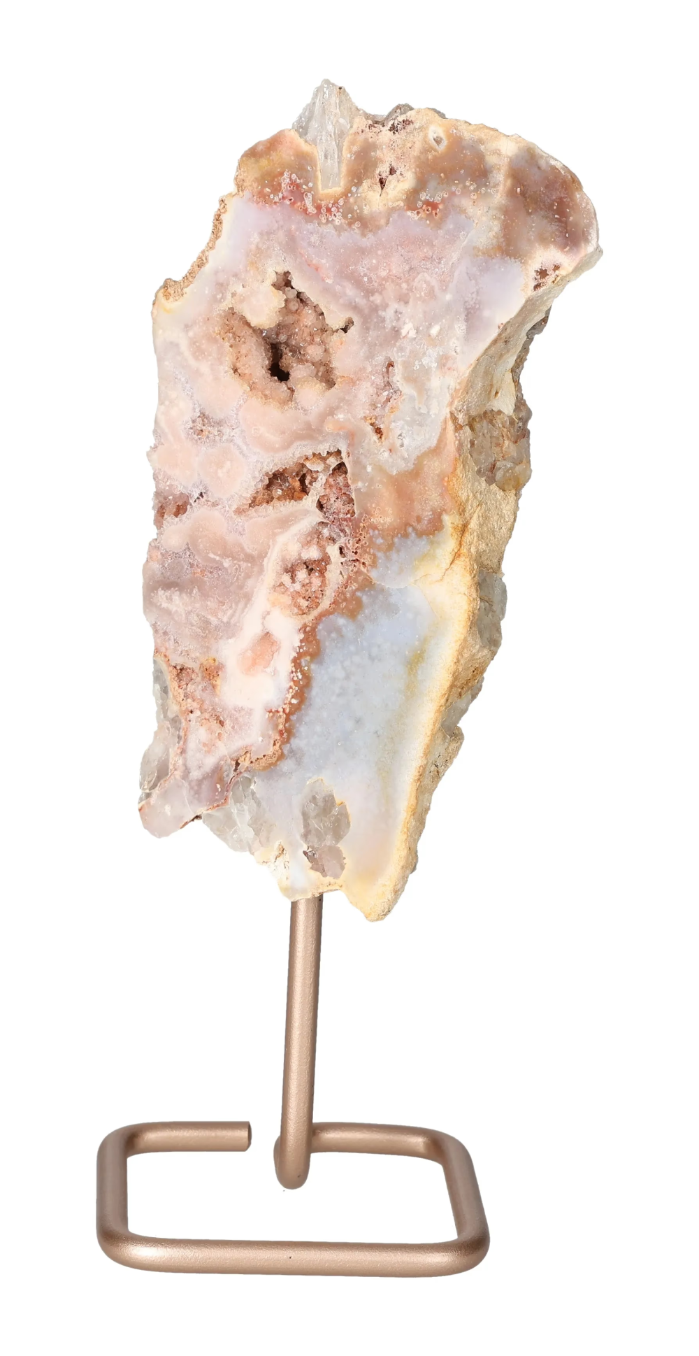 orbitvu|type:image2d