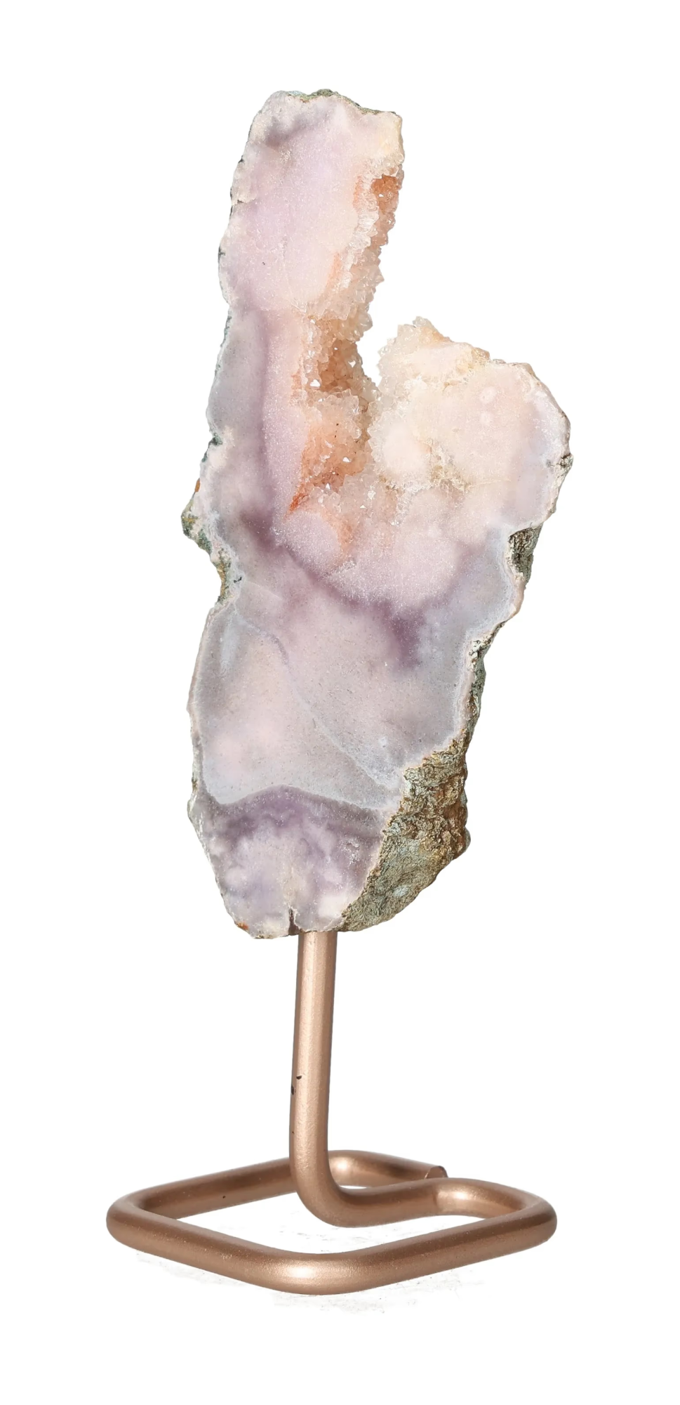 orbitvu|type:image2d