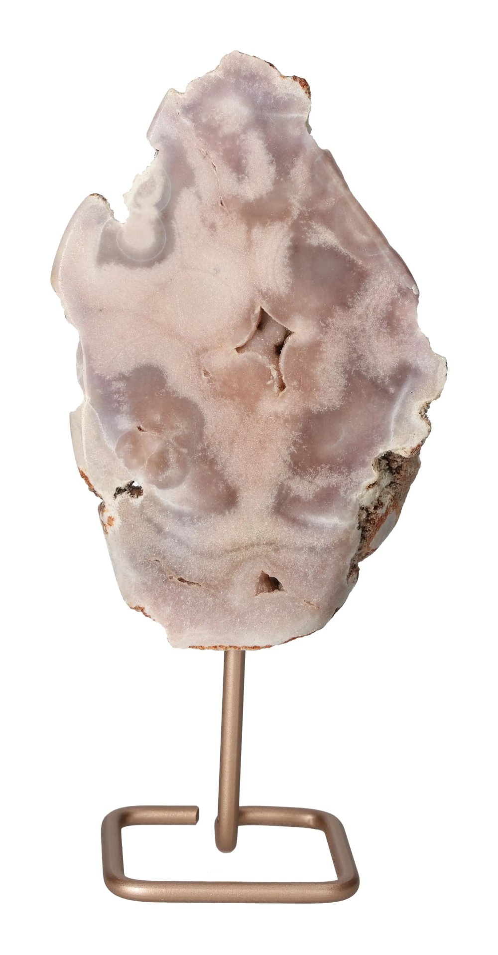 orbitvu|type:image2d