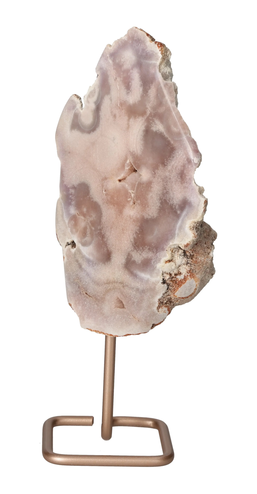 orbitvu|type:image2d