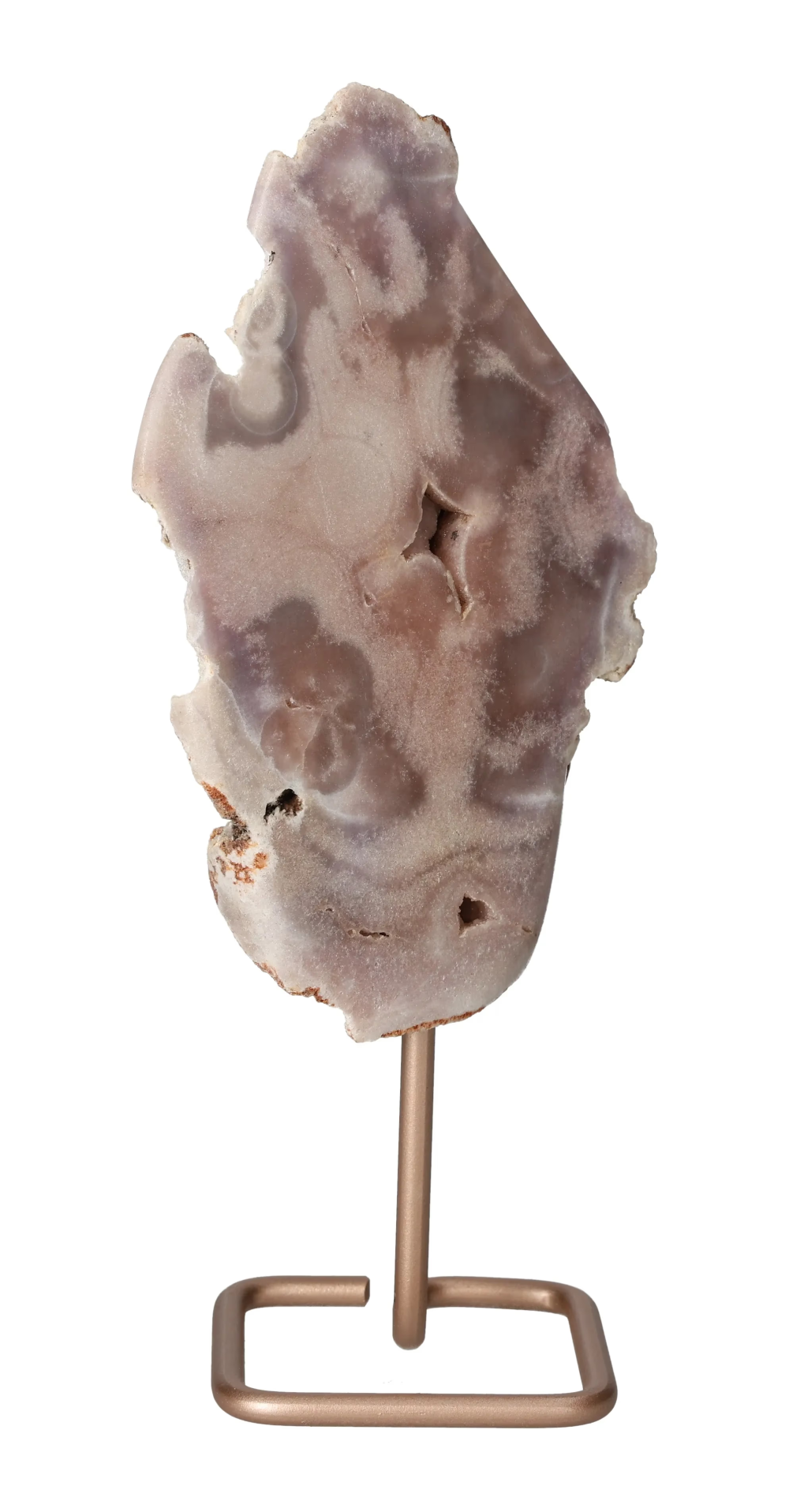 orbitvu|type:image2d