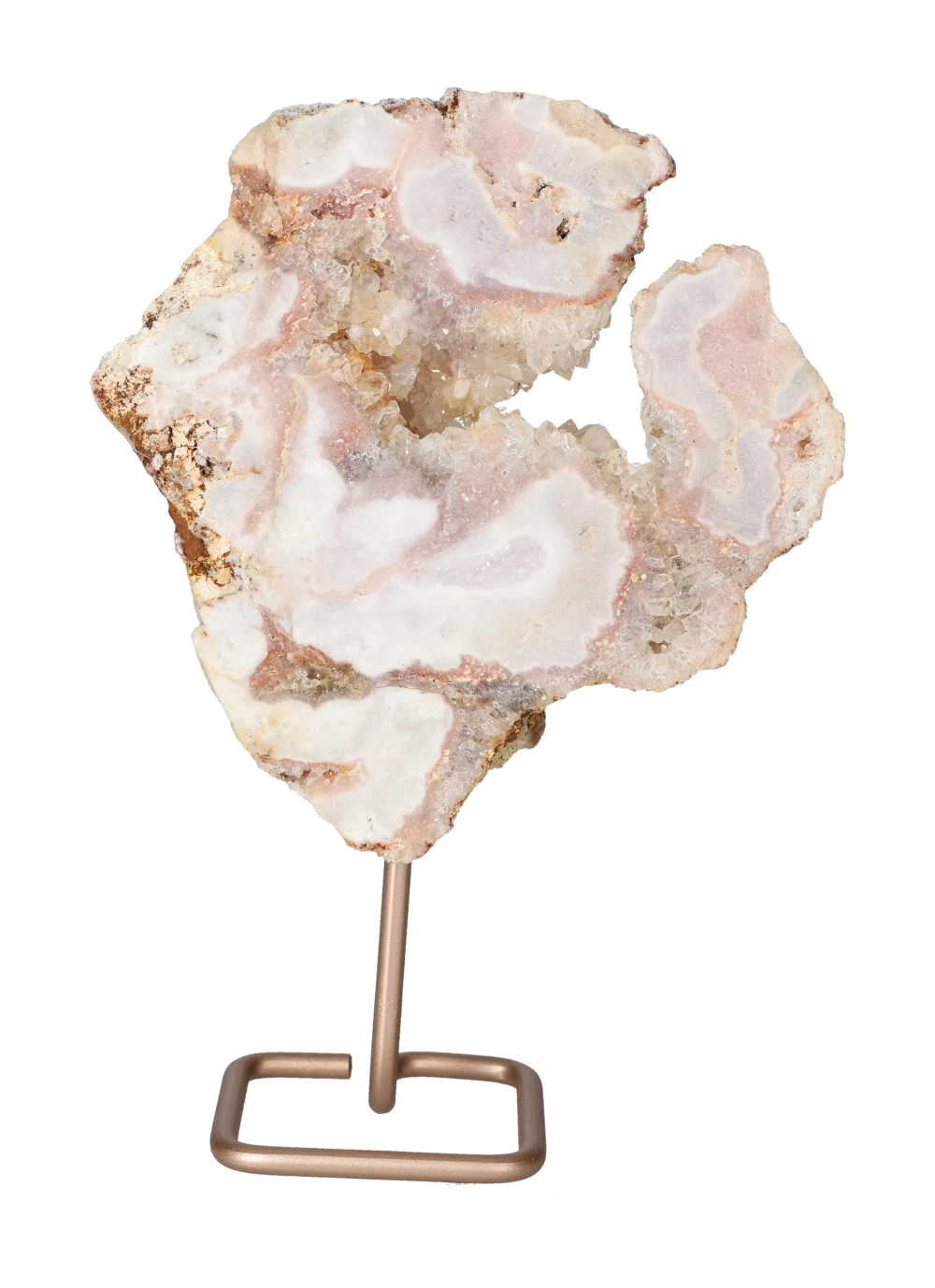 orbitvu|type:image2d