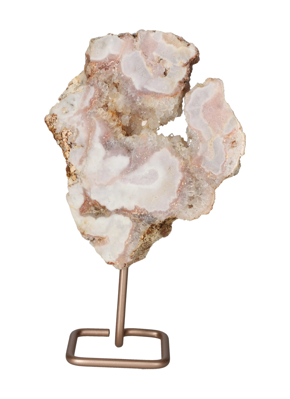 orbitvu|type:image2d