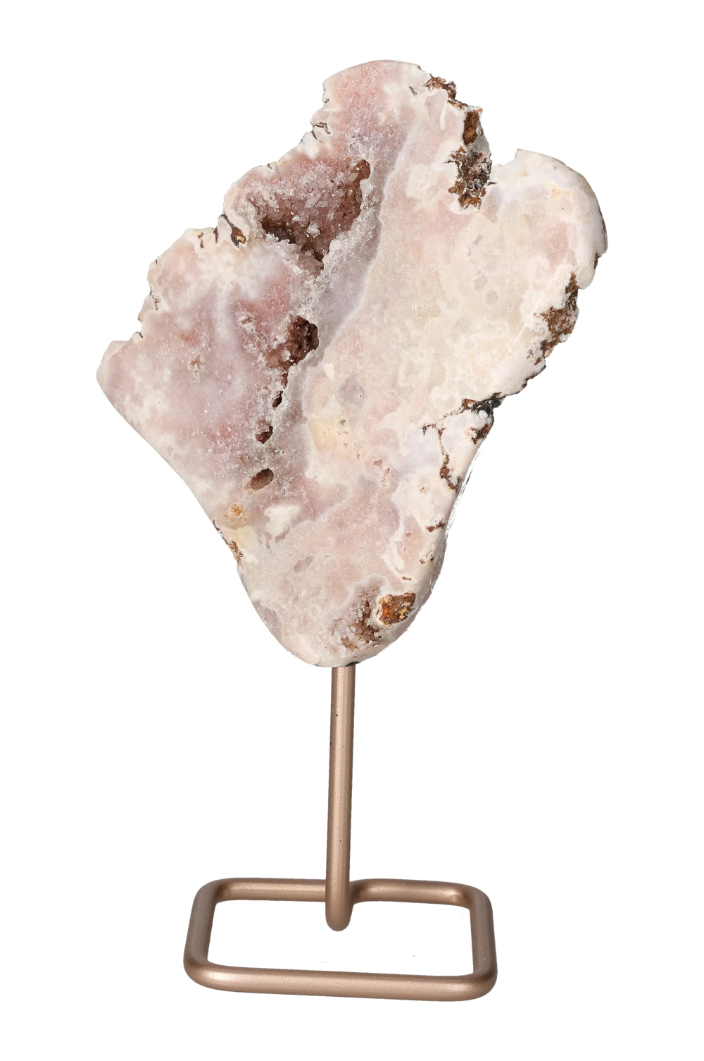 orbitvu|type:image2d