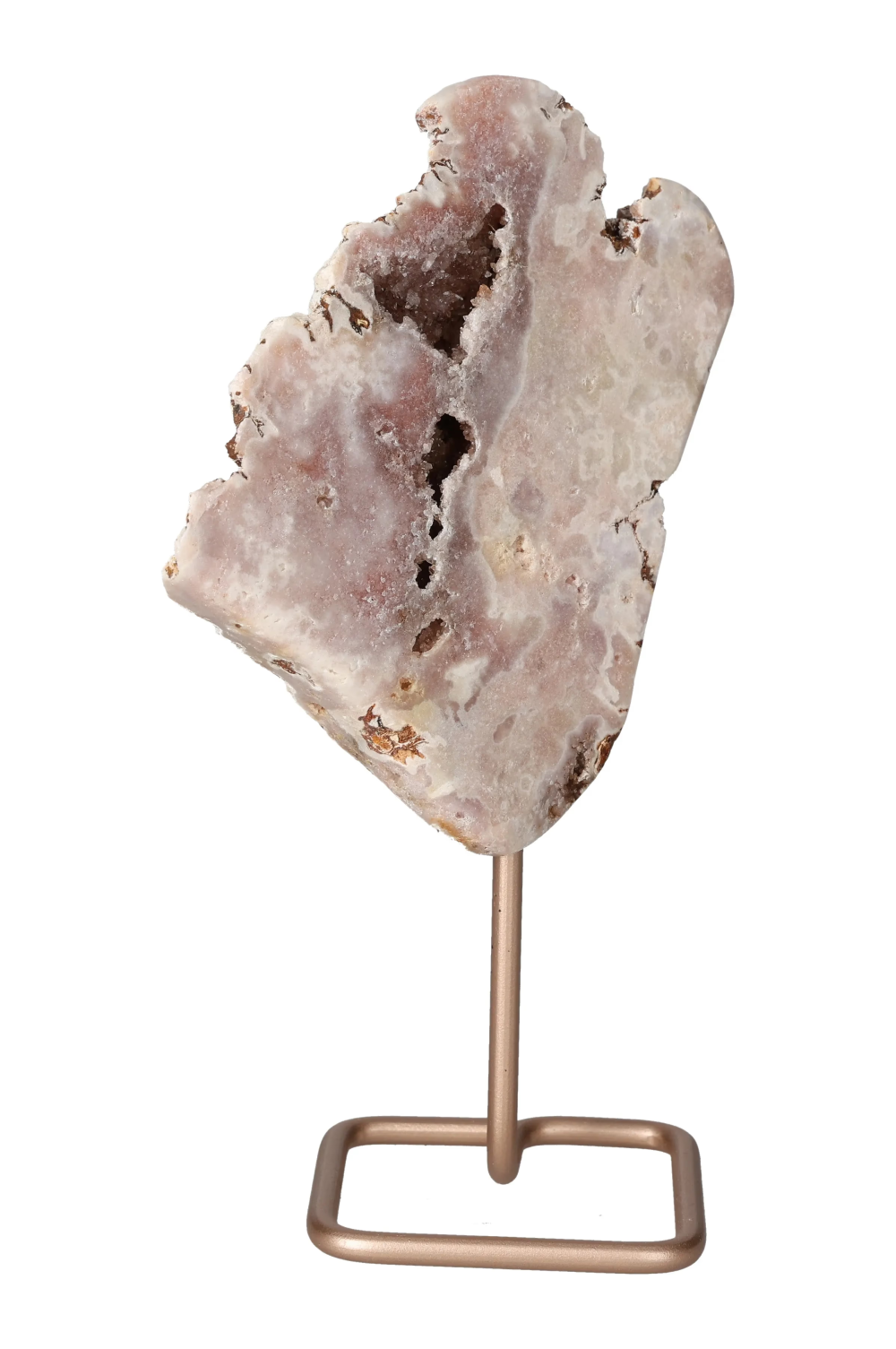 orbitvu|type:image2d