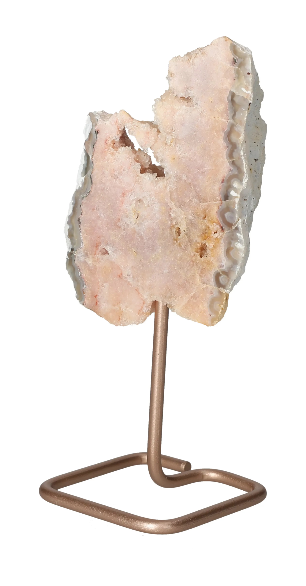 orbitvu|type:image2d