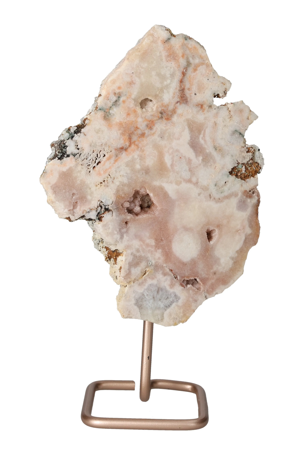 orbitvu|type:image2d