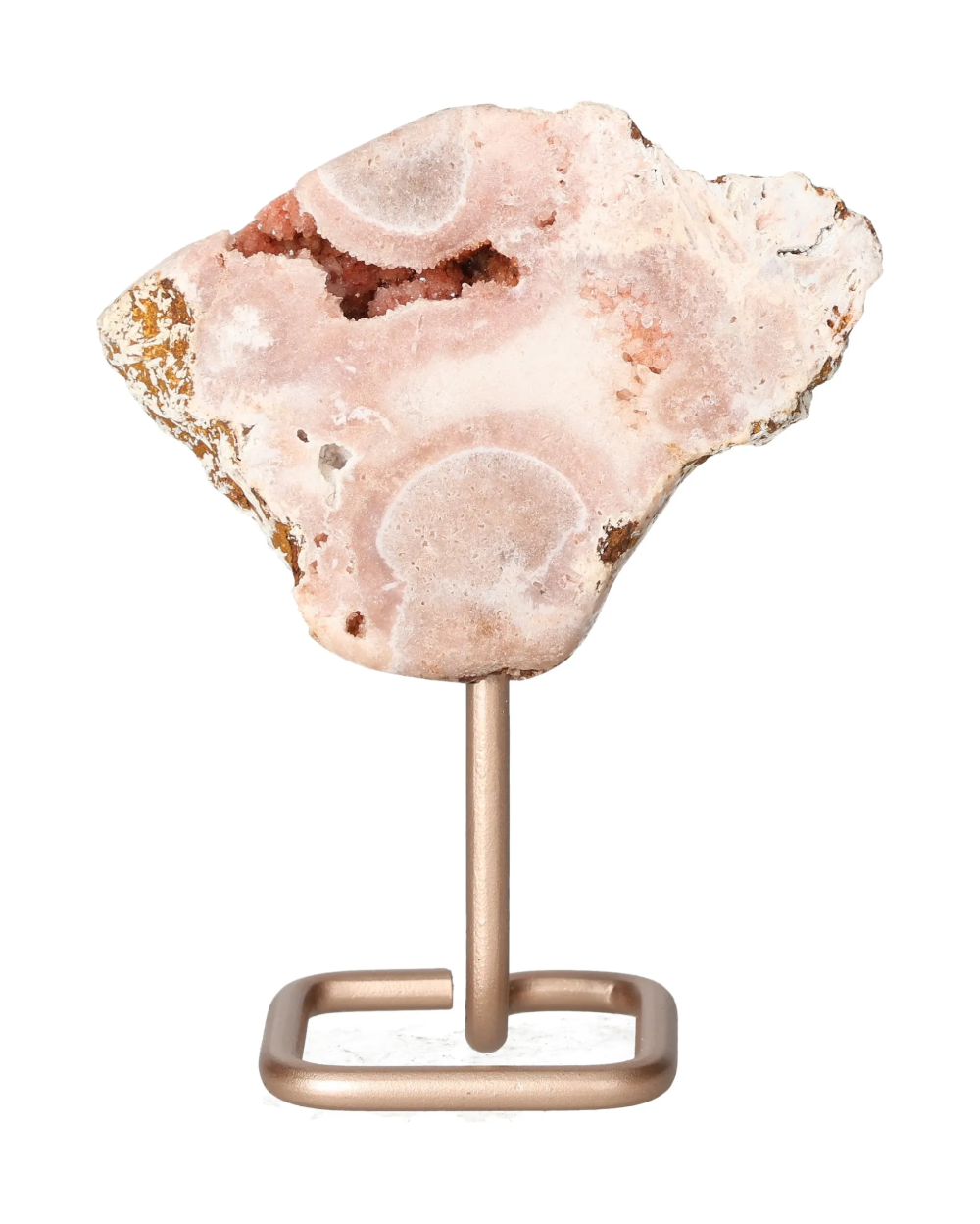 orbitvu|type:image2d