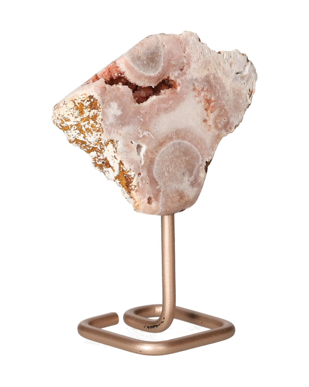 orbitvu|type:image2d