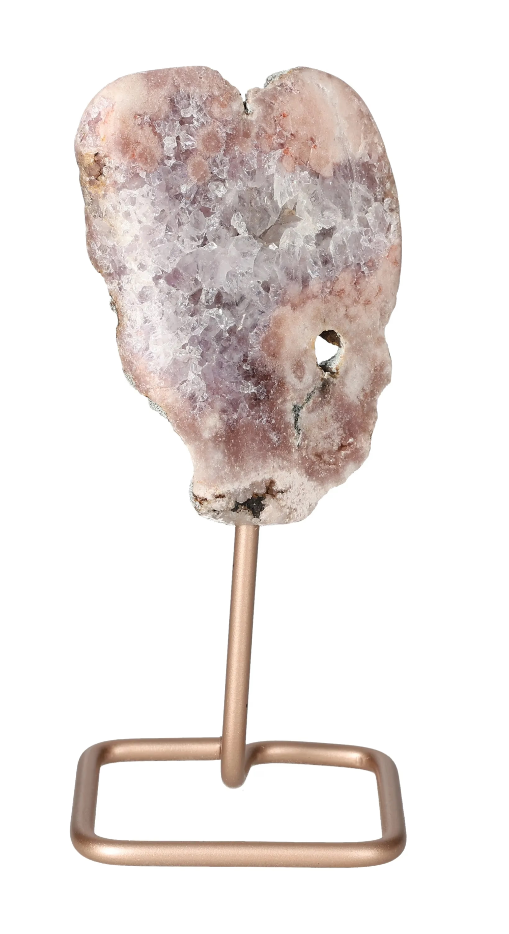 orbitvu|type:image2d