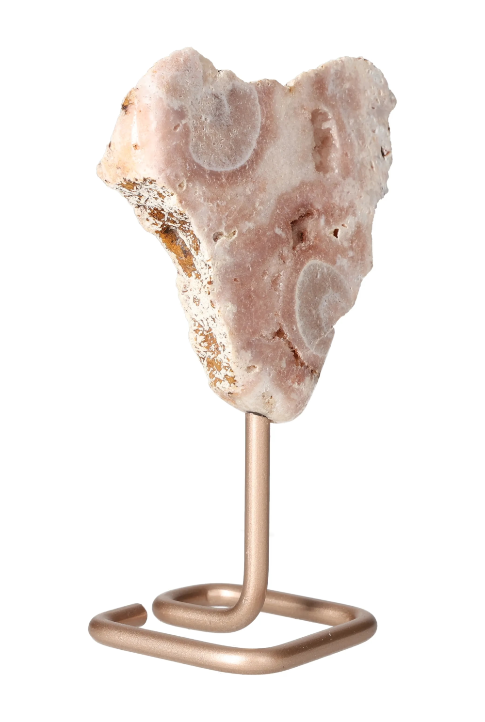 orbitvu|type:image2d