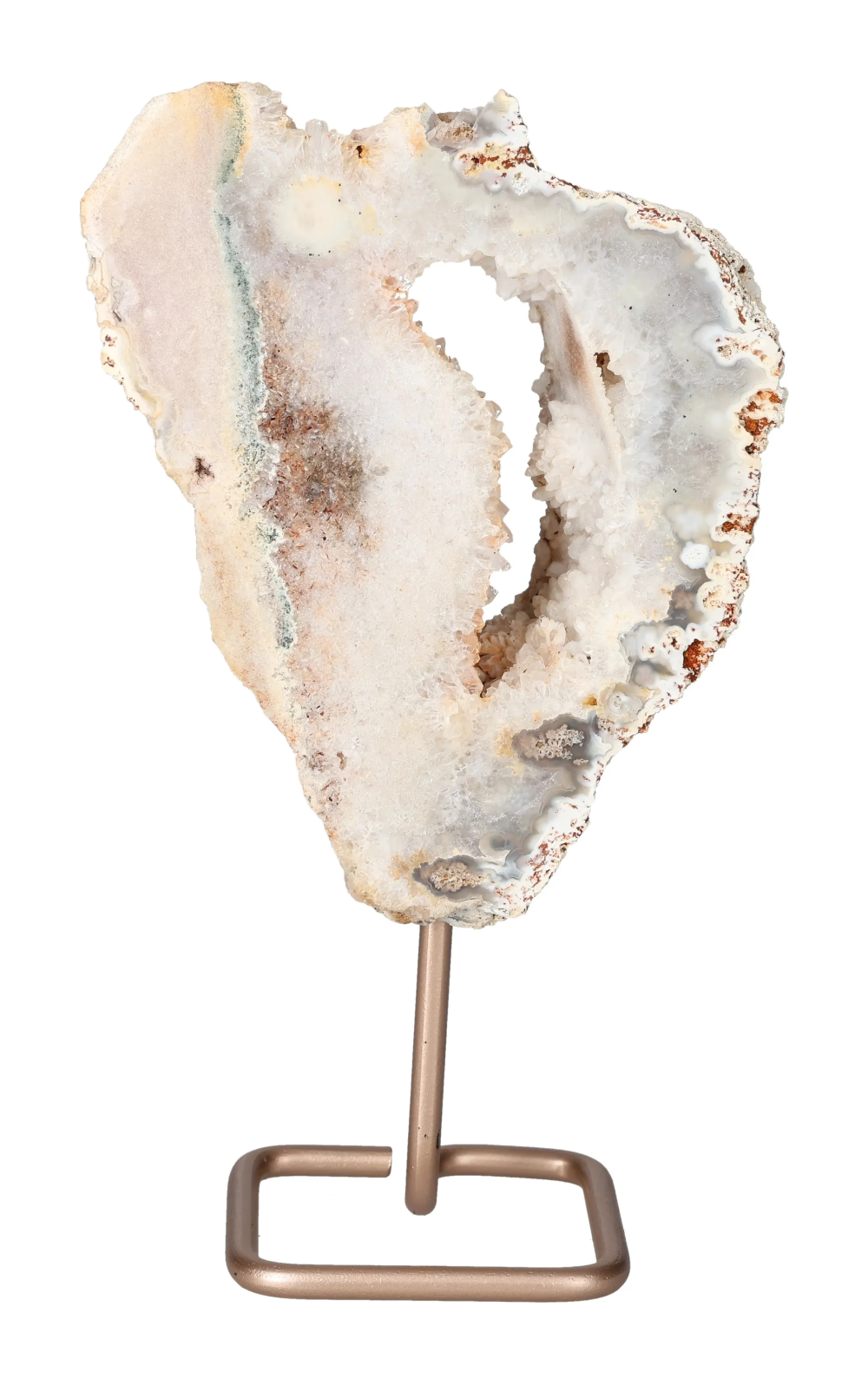 orbitvu|type:image2d