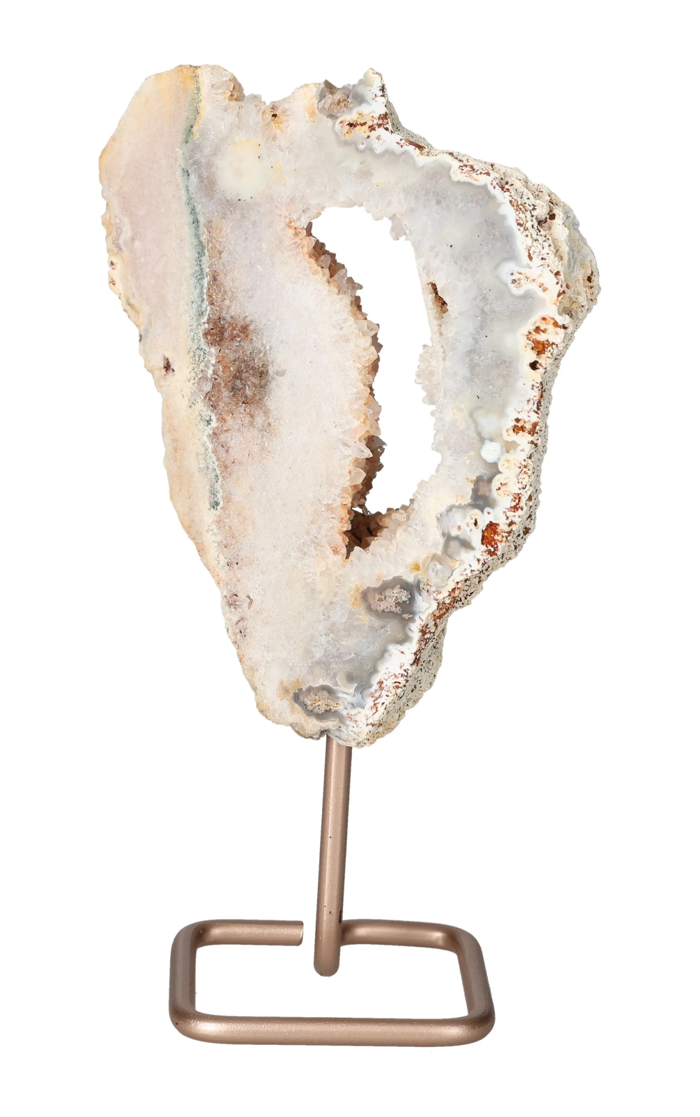 orbitvu|type:image2d