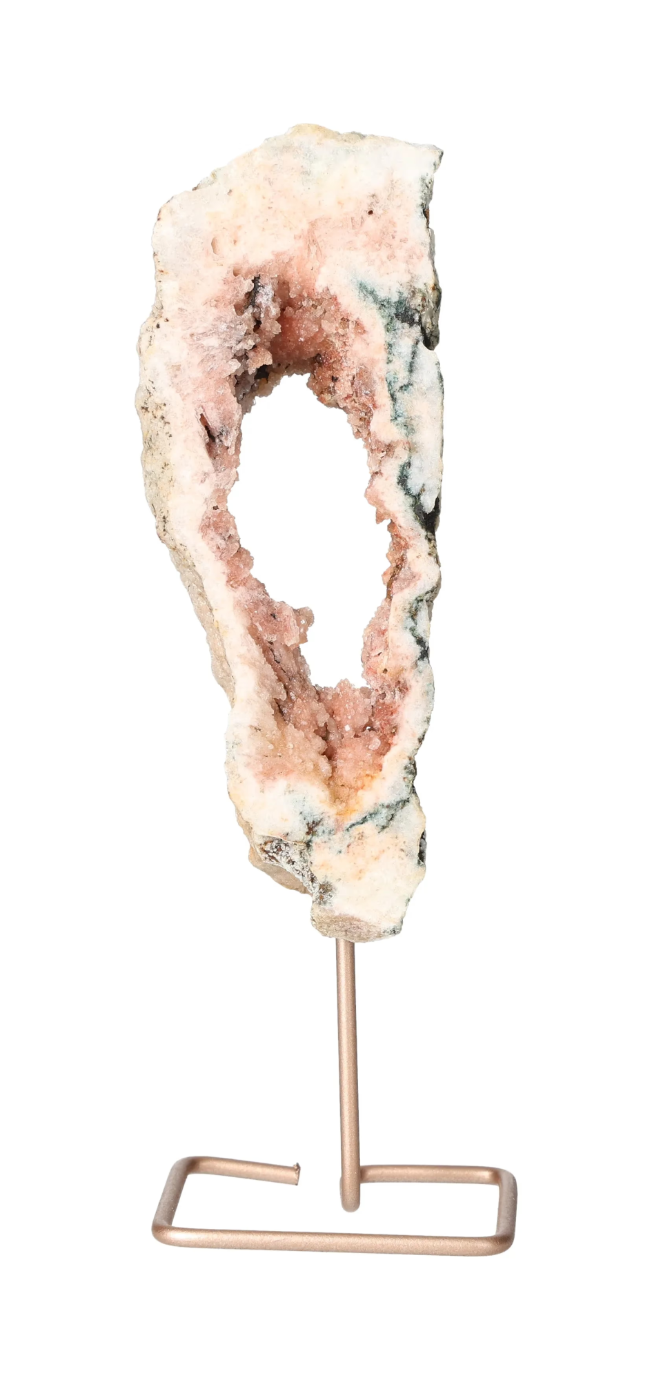 orbitvu|type:image2d