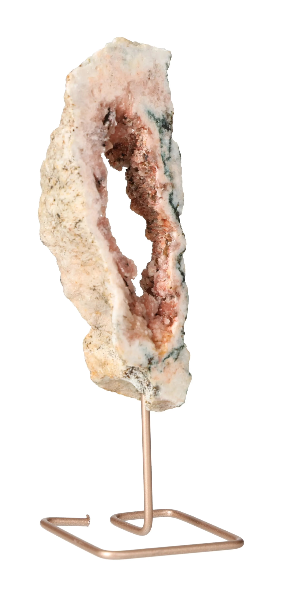 orbitvu|type:image2d