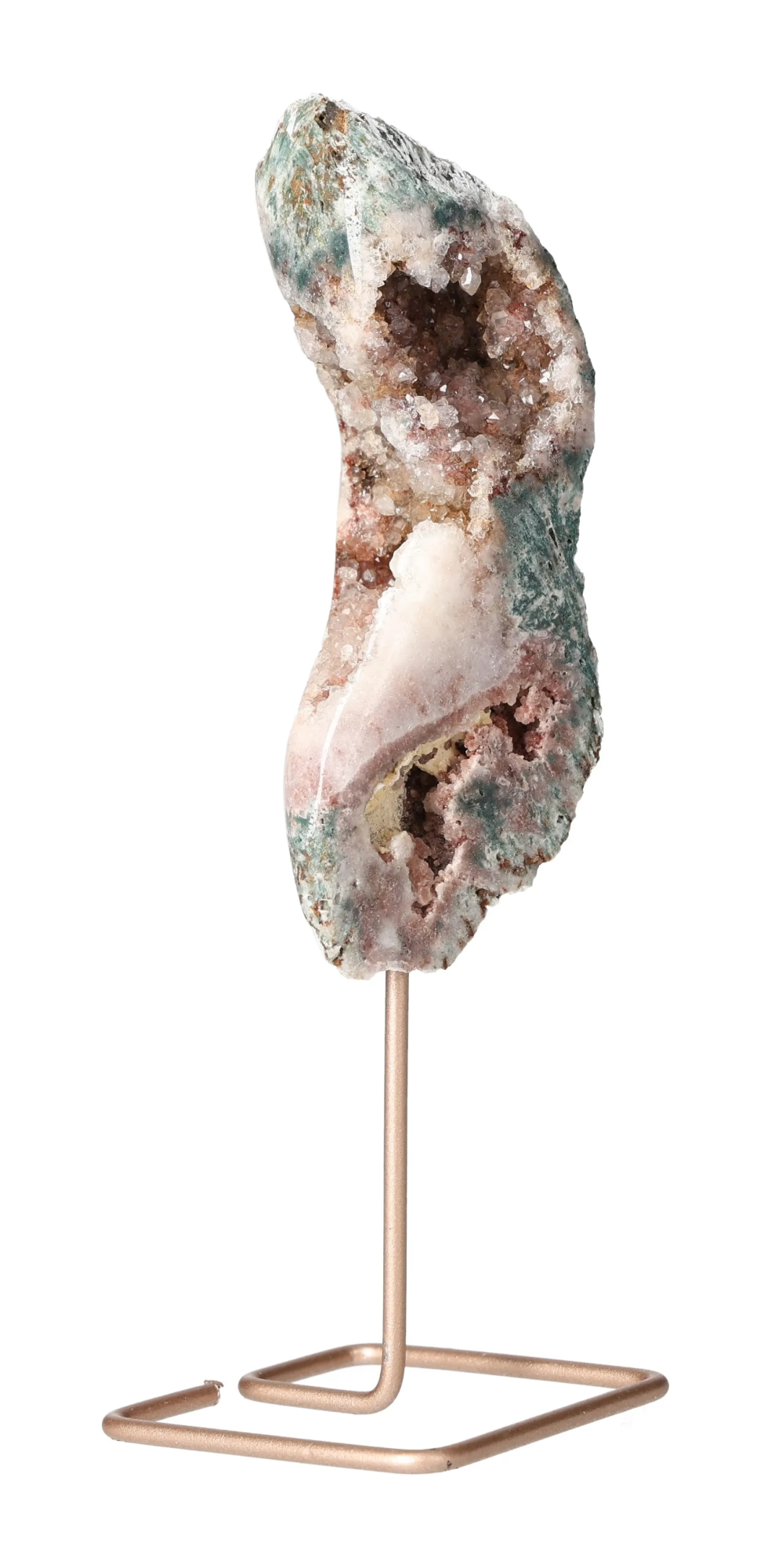 orbitvu|type:image2d