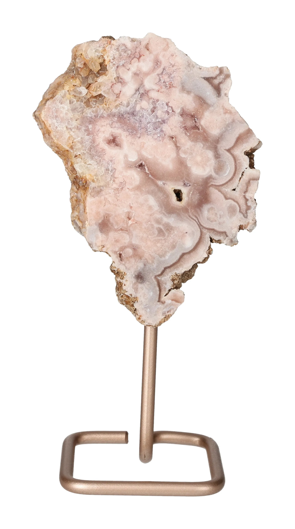 orbitvu|type:image2d