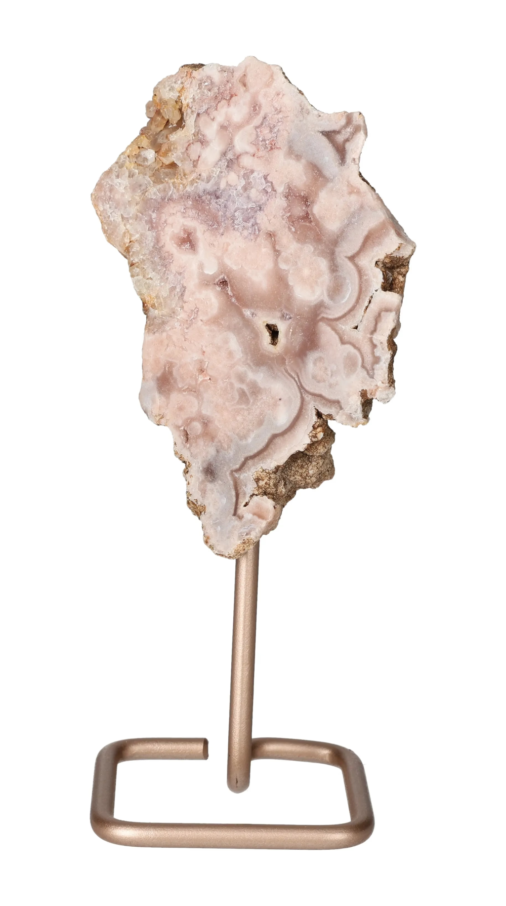 orbitvu|type:image2d