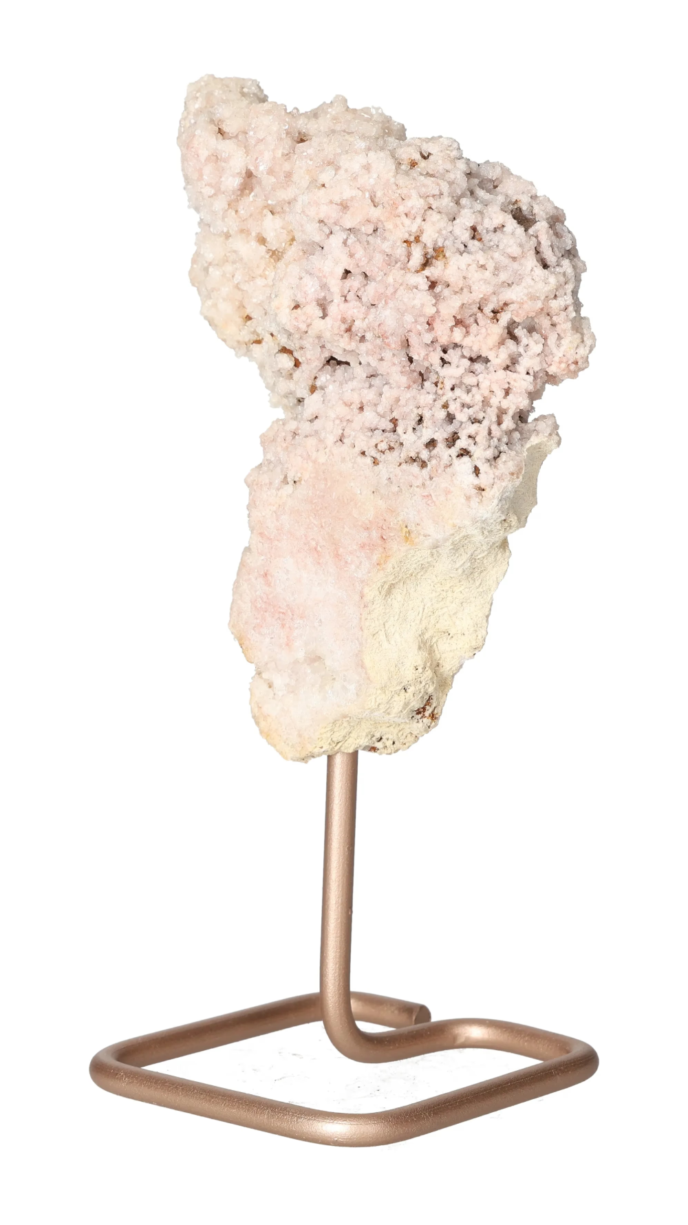 orbitvu|type:image2d