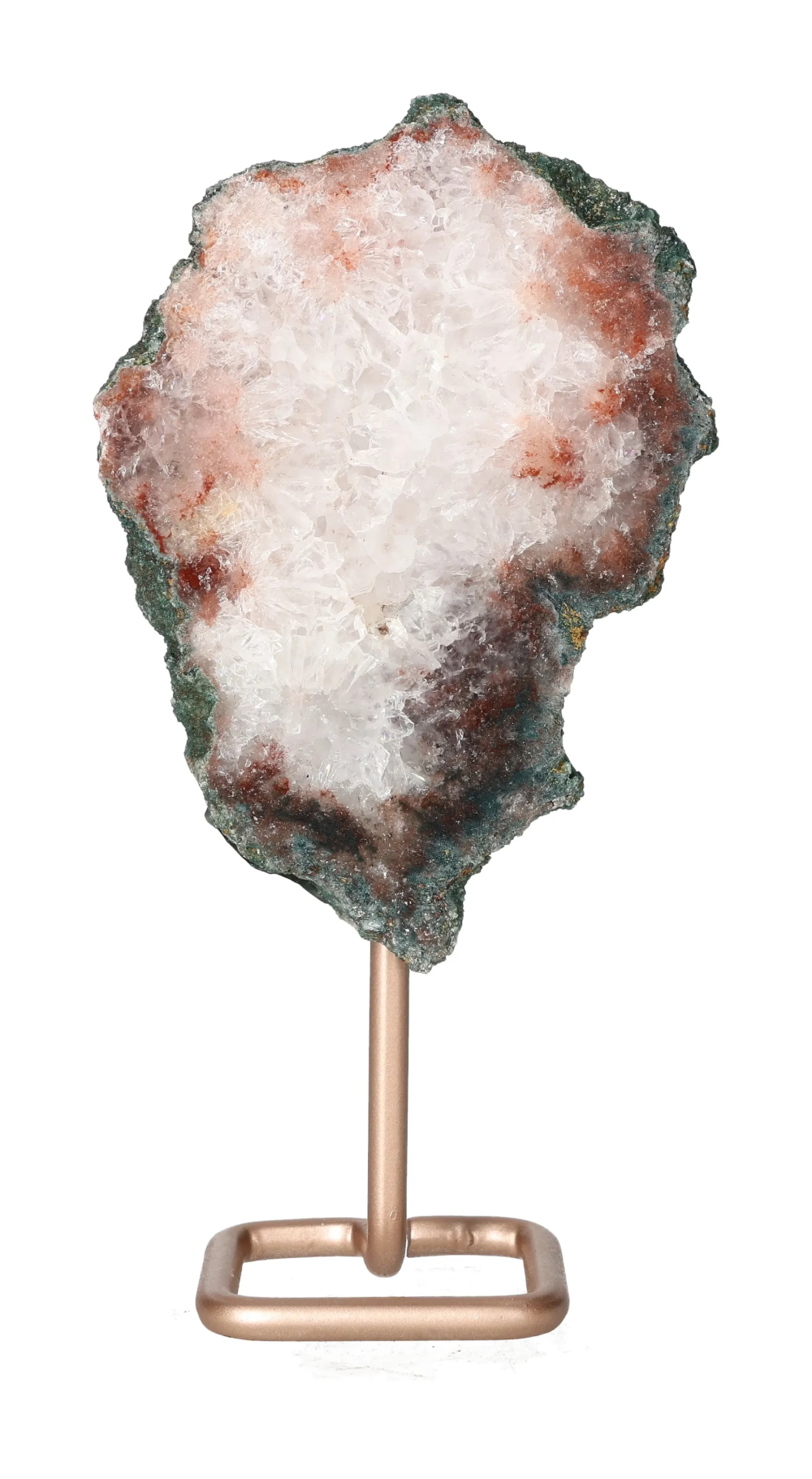 orbitvu|type:image2d