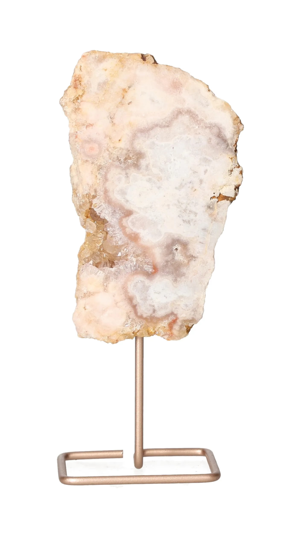 orbitvu|type:image2d