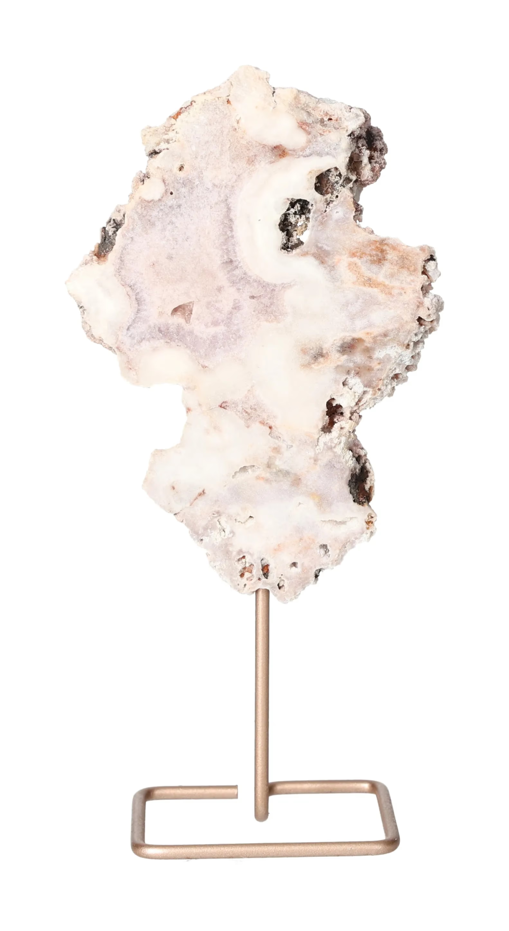 orbitvu|type:image2d