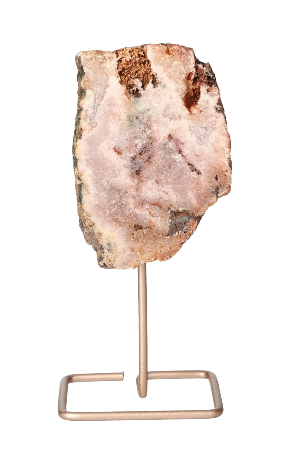 orbitvu|type:image2d