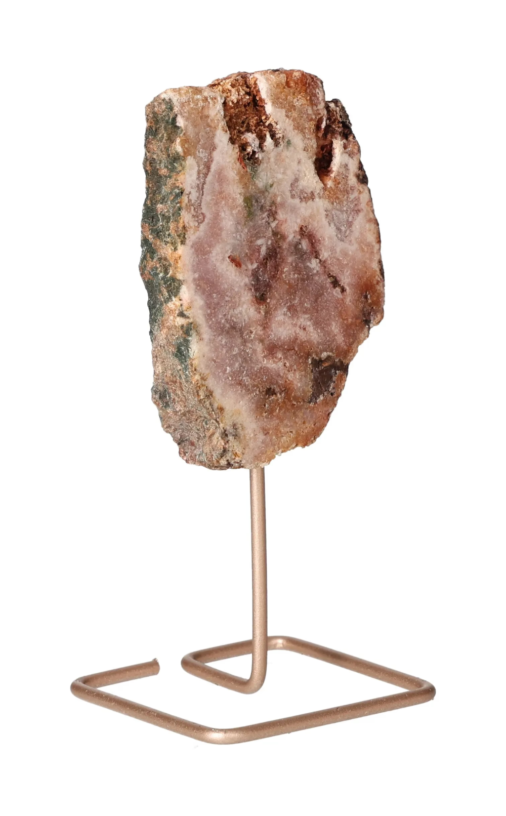 orbitvu|type:image2d