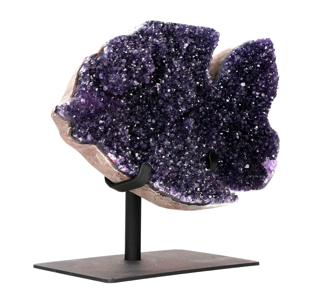 orbitvu|type:image2d