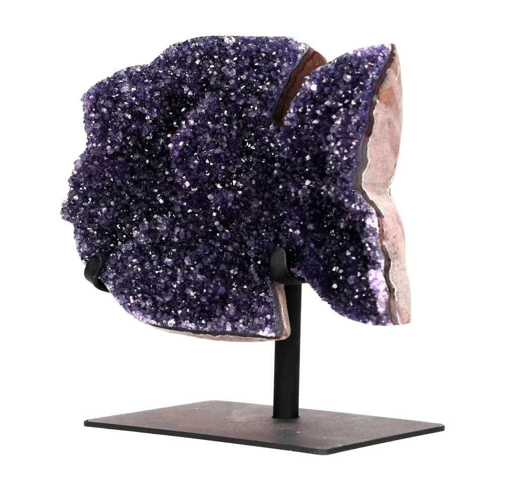 orbitvu|type:image2d