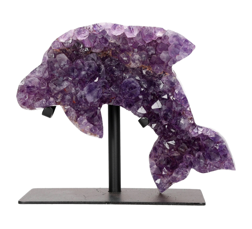 orbitvu|type:image2d