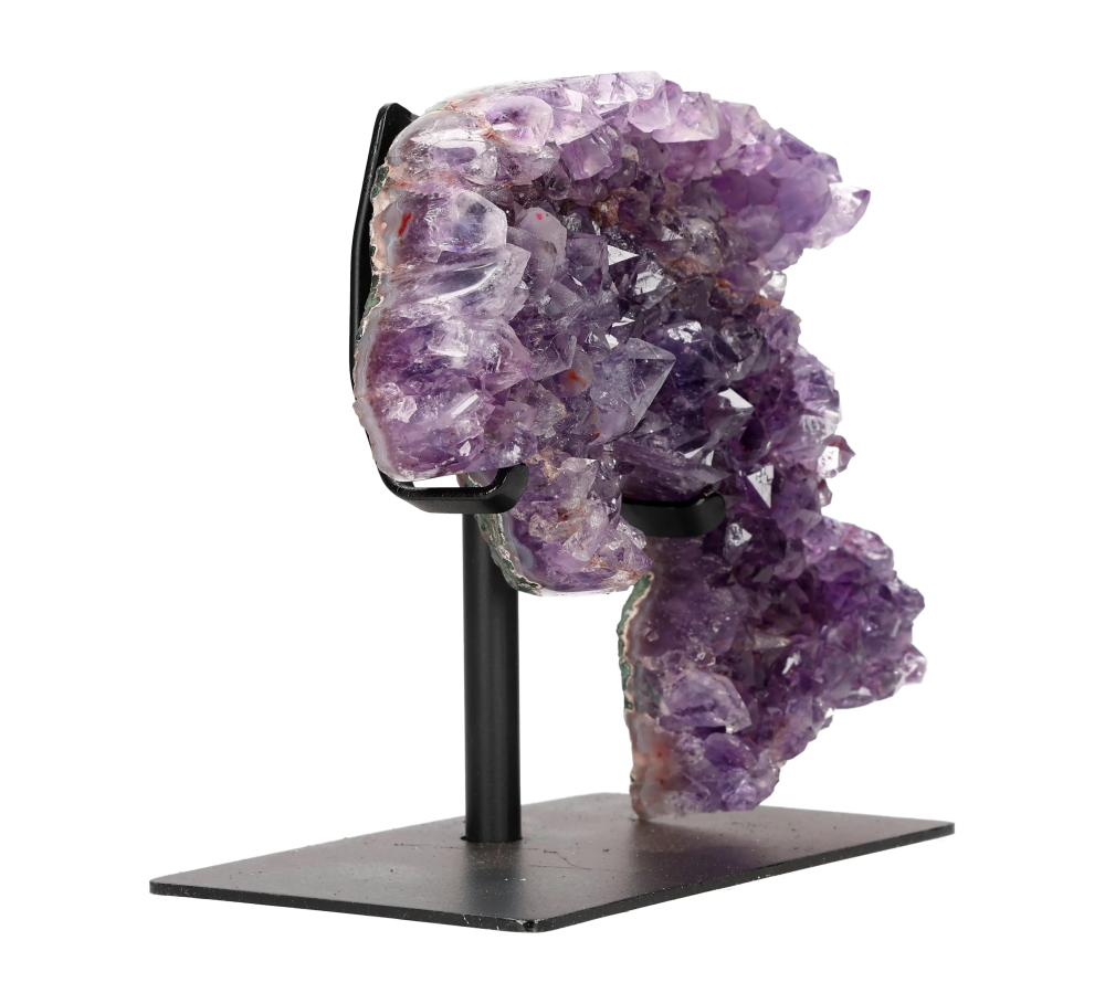 orbitvu|type:image2d