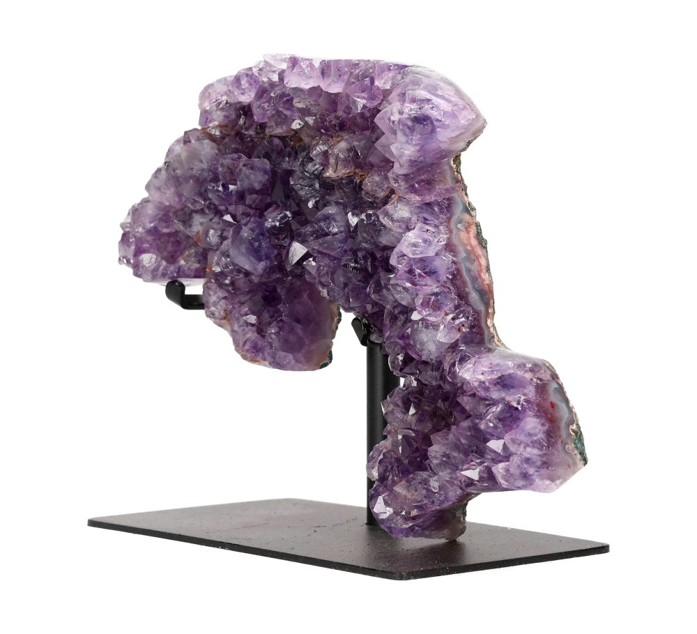 orbitvu|type:image2d