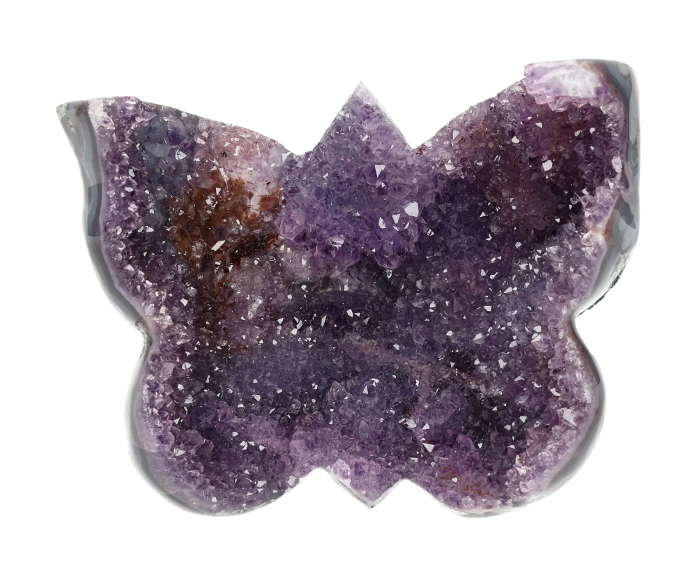 orbitvu|type:image2d