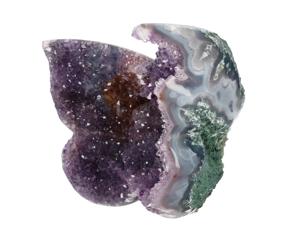 orbitvu|type:image2d