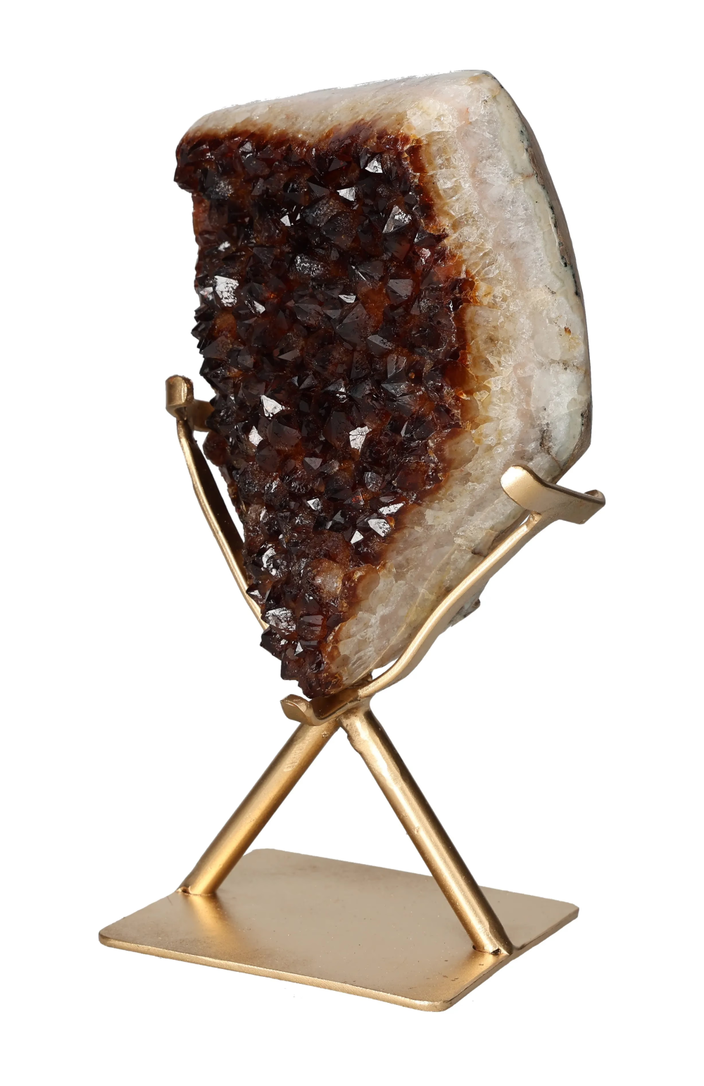 orbitvu|type:image2d