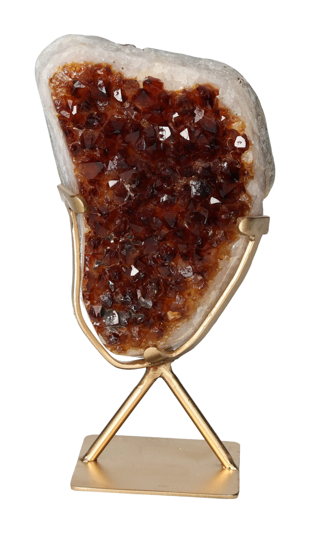 orbitvu|type:image2d