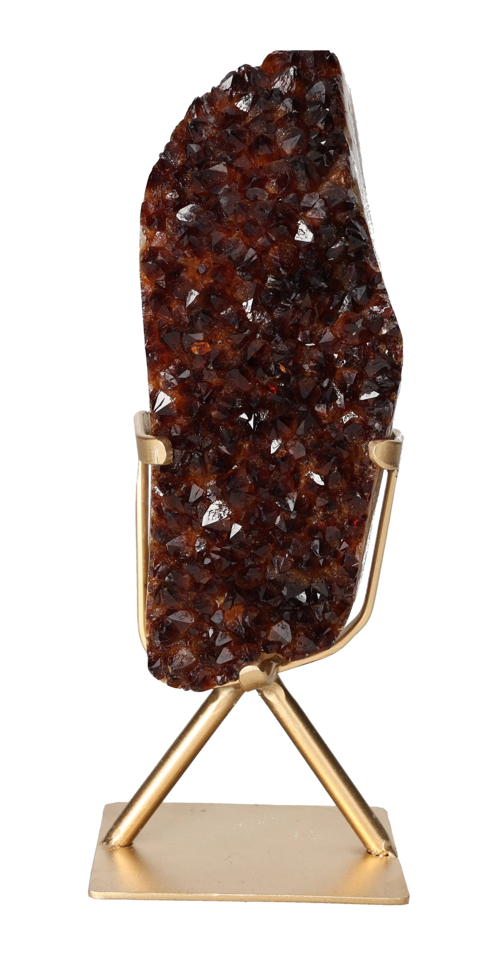 orbitvu|type:image2d