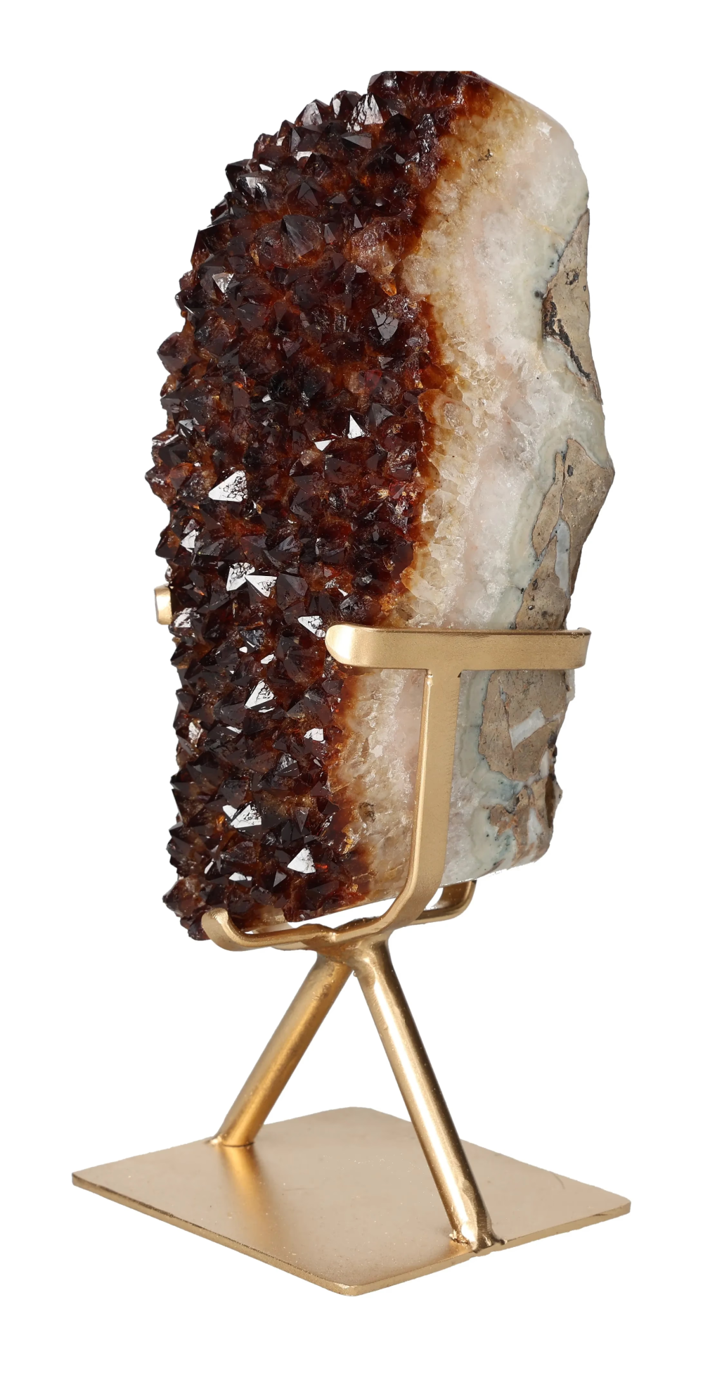 orbitvu|type:image2d