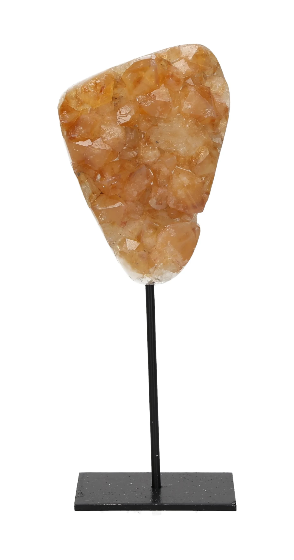 orbitvu|type:image2d