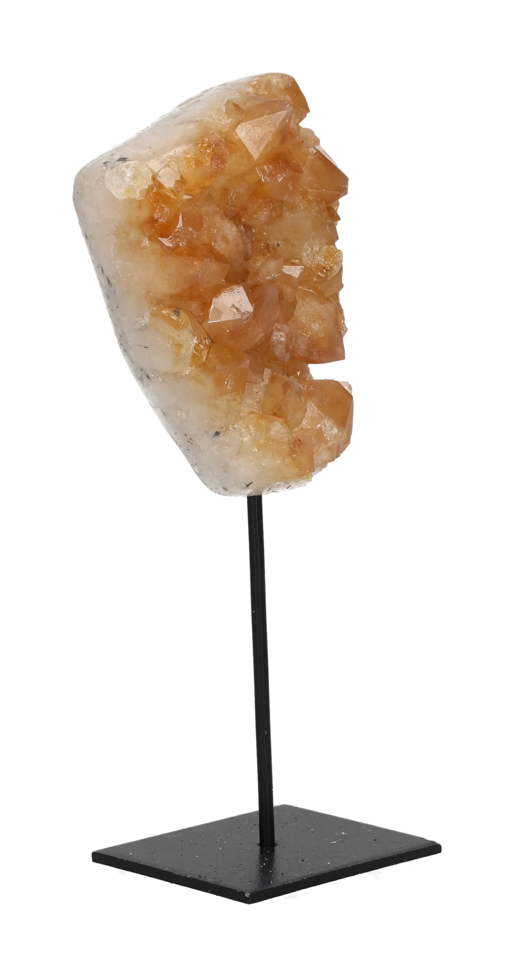 orbitvu|type:image2d