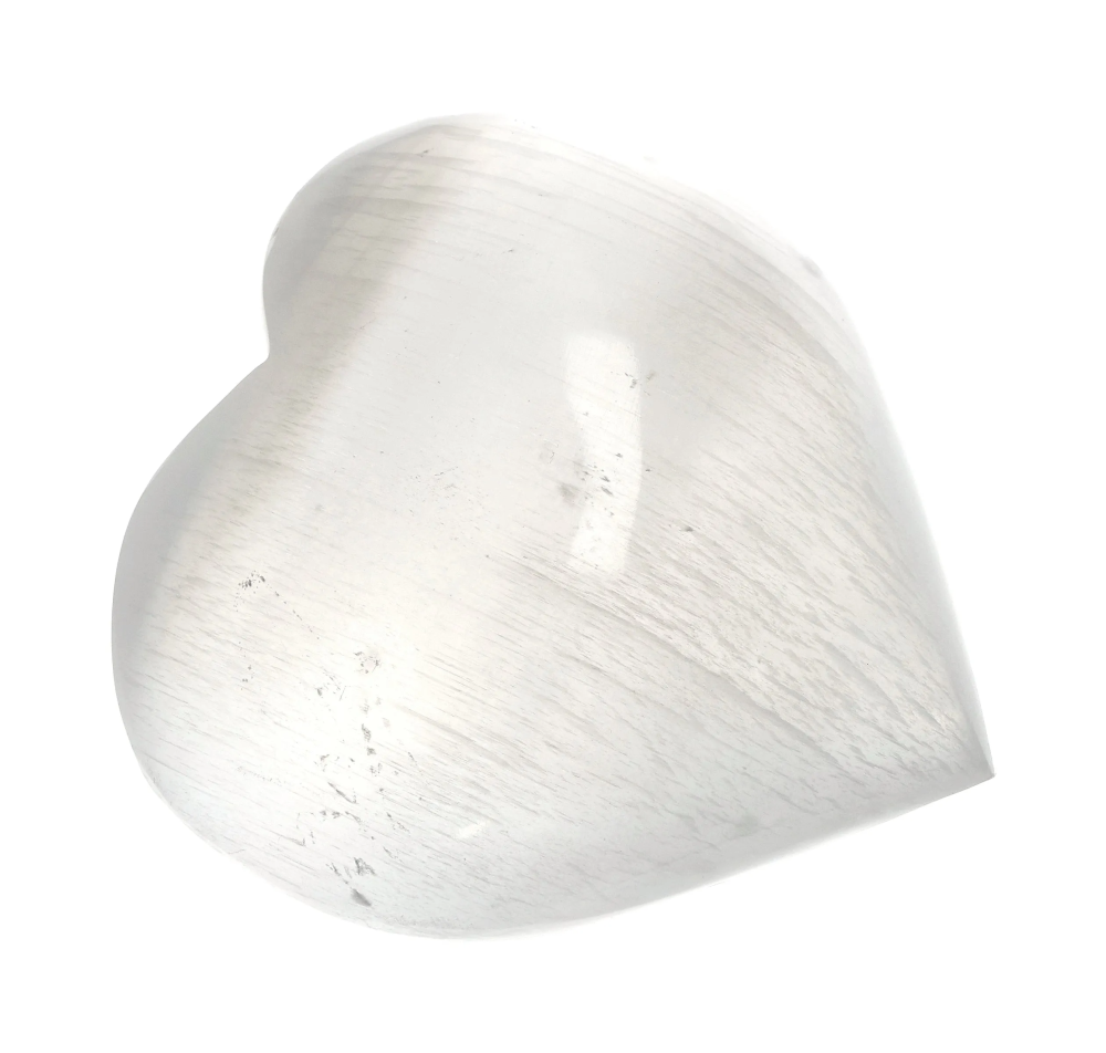 orbitvu|type:image2d