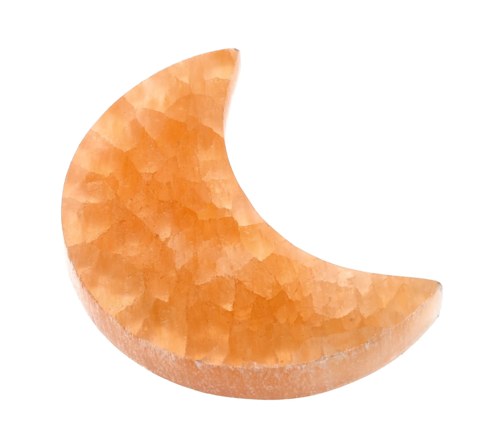 orbitvu|type:image2d