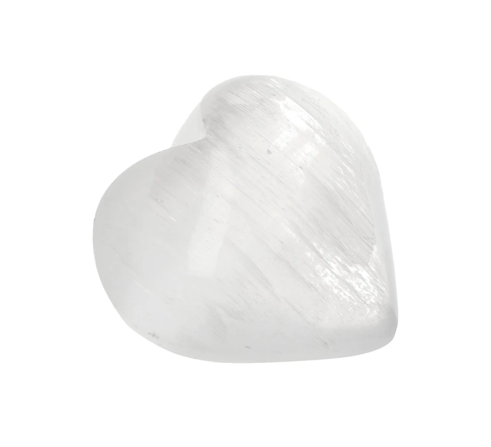 orbitvu|type:image2d