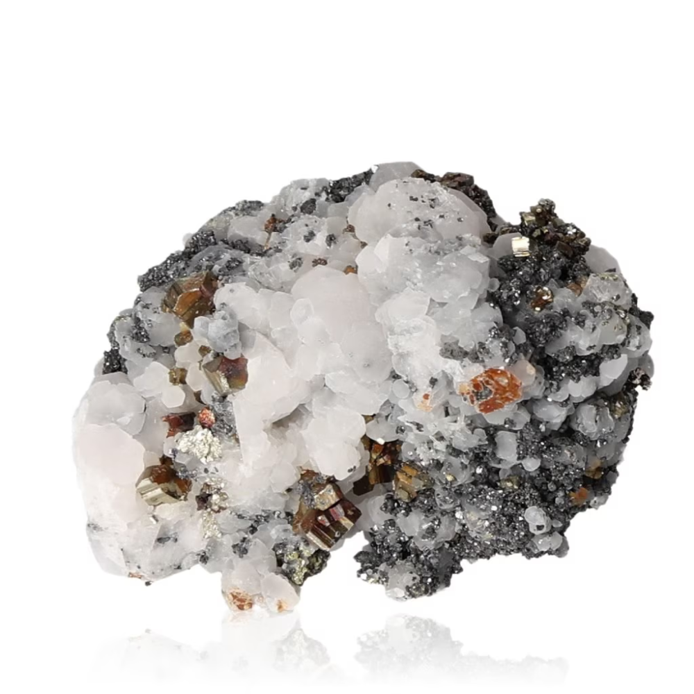 orbitvu|type:ORBITVU 360|https://orbitvu.co/share/v8qdL5uTzUQcA6cnjhVZHf/6456950/360/iframe