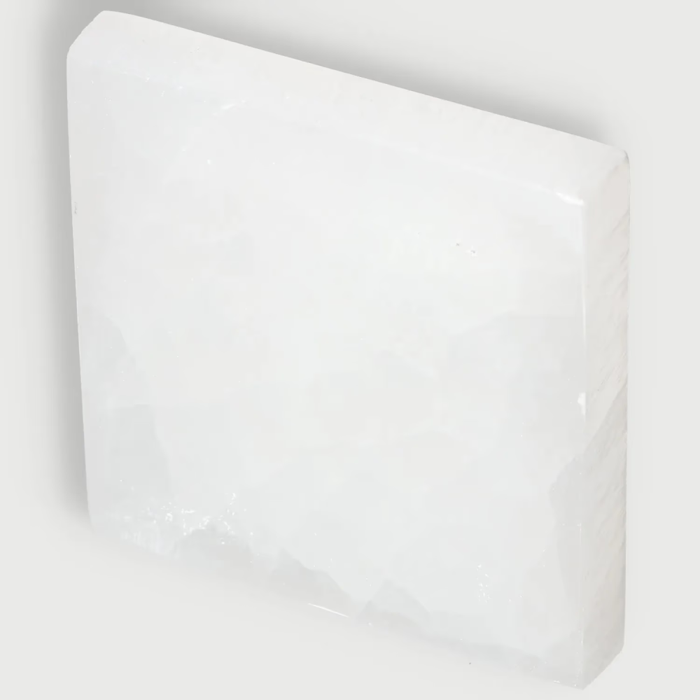 orbitvu|type:image2d