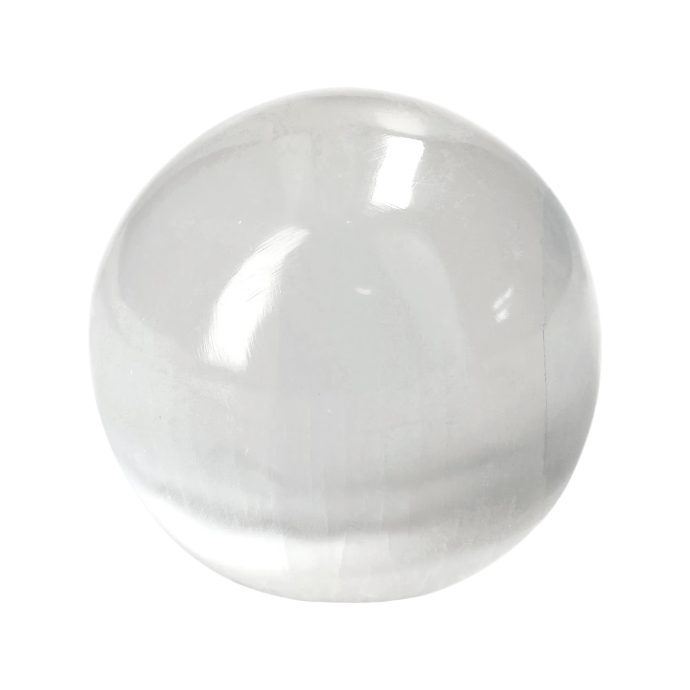 orbitvu|type:image2d