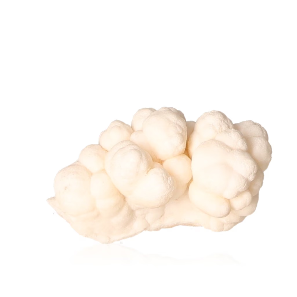 orbitvu|type:ORBITVU 360|https://orbitvu.co/share/u7vpGwjNbH2Qk7cFDd5qwf/6390230/360/iframe