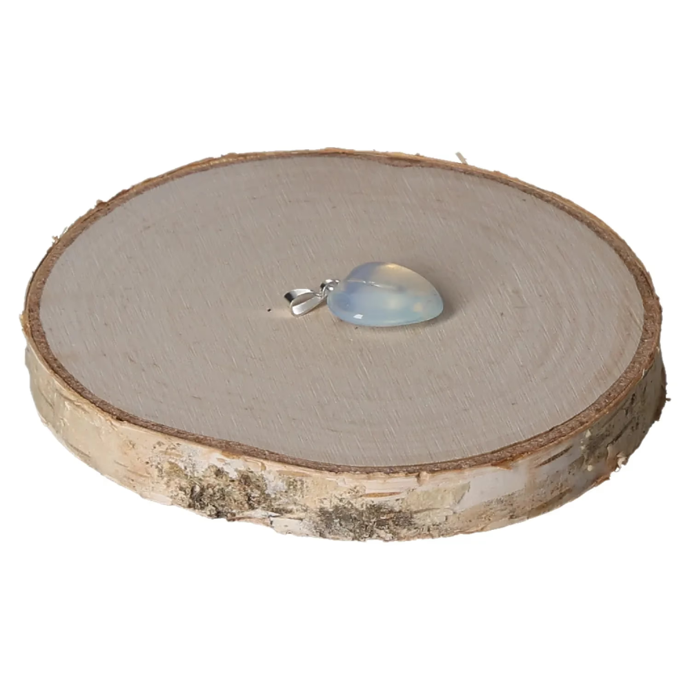 orbitvu|type:image2d