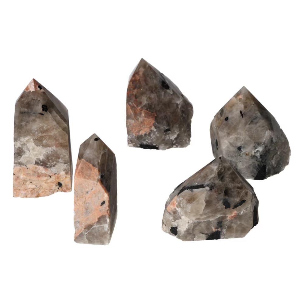 orbitvu|type:ORBITVU 360|https://orbitvu.co/share/JHAq2Zbrdqg7VCudUtp9MT/6513325/360/iframe